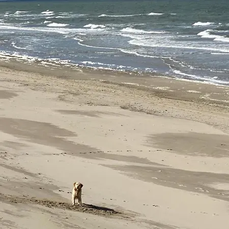 Pur, O4 Neues Natureingebunden, Familien- Und Hundefreundlich Eingezaeunt